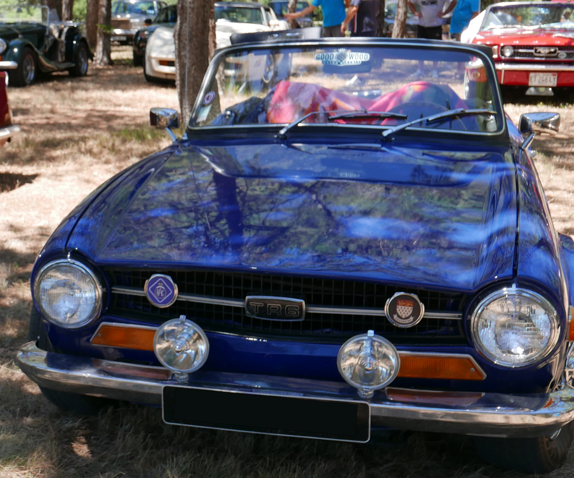 TR6- 10CV